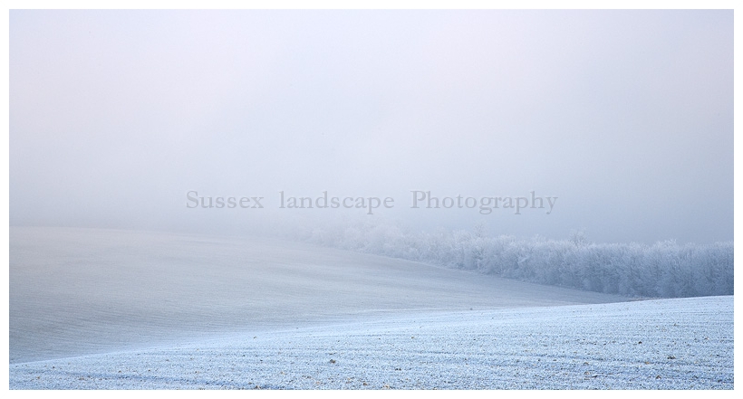 slides/Frosted.jpg winter,fog,frost,snow,harsh,south downs national park,sunset Frosted